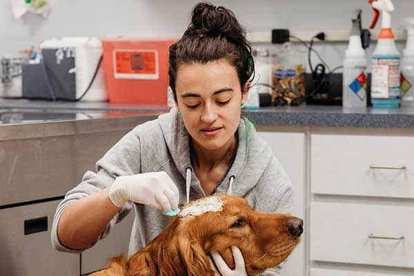 Dermatology & Allergy Services