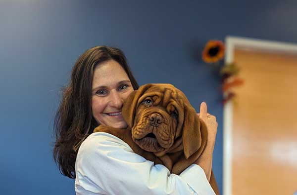 Appointment Request Form